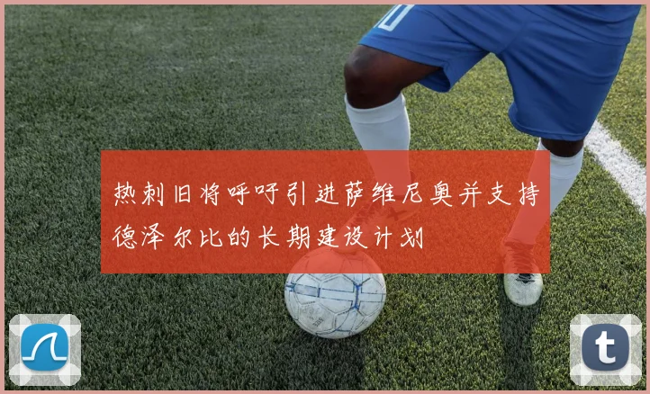 热刺旧将呼吁引进萨维尼奥并支持德泽尔比的长期建设计划
